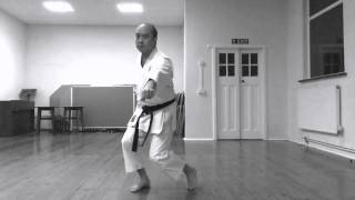 Wado Ryu Karate  gyakuzuki no tsukkomi [upl. by Athalee886]