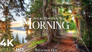 Morning Nature  Relaxation Film  Peaceful Relaxing Music  4k Video UltraHD [upl. by Valonia548]