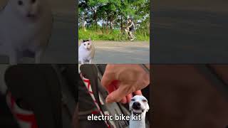 Easy Climbing with a Simple EBike Conversion Kit lvbuebikekit commute electricvehicle [upl. by Casavant78]