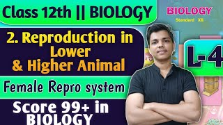 L4  2 Reproduction in Lower and Higher Animal Class 12 Biology Sexual Reproduction biology [upl. by Moss]