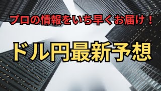 ドル円 今日の最新予想 2024 88 [upl. by Concordia625]