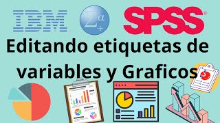 SPSS Etiquetas y Edición de Graficos [upl. by Sheffie992]