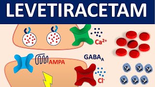 Levetiracetam Keppra  Mechanism side effects precautions and uses [upl. by Aesoh]