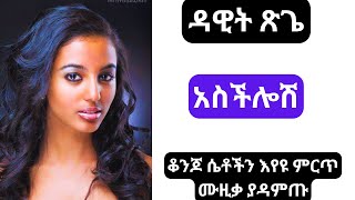 Aschilosh dawit tsegie  Best ethiopian amharic music [upl. by Damek699]