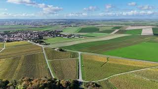 survol vignes et forêt octobre 4K [upl. by Naples]