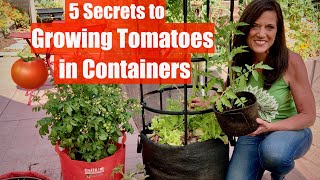 5 Secrets to Grow LOTS of Tomatoes in Containers  Container Garden Series 1🍅🍅🍅 [upl. by Aicinad]