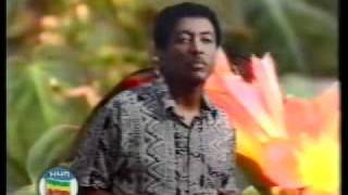 Music Ethiopian Aklilu Seyoum [upl. by Mcafee]