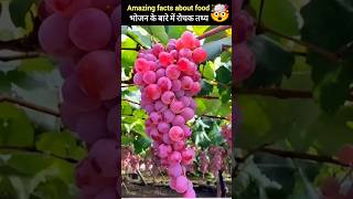 Amazing facts about food 🍎 fact in hindi amazingfacts facts shorts [upl. by Yramliw]