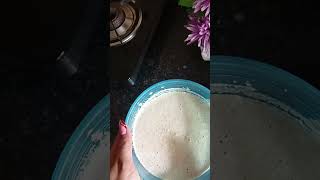 Fully veggie loded dosa 🤤shorts viral trending food gaurikitchenn [upl. by Jonme379]