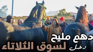 دهم ملكي دخلو مصطفى الكازاوي لسوق الثلاتاء دار حالة فالبياعة والشرايا [upl. by Madonna]