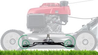 Lawn Mower Cut Quality Mulching [upl. by Hurty566]