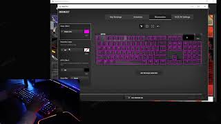 Apex Pro Keyboard how to setup your RGB lighting [upl. by Akino291]