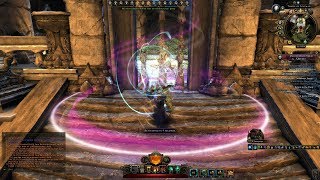 Neverwinter Mod 12 Preview  Transcendent Bronzewood b2b Transcendent Barkshield Run 1080p [upl. by Lugar]