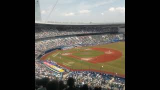 木更津総合 ZOZOマリンスタジアム 甲子園決定の瞬間 [upl. by Enitsyrhc]