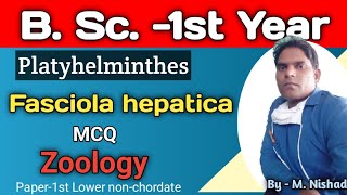 Fasciola hepatica Most Asked MCQLower nonchordateZoologyB Sc 1st Year [upl. by Essilec]