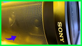 3 Things You Need To Know About The Sony SRSXP700 XSeries Speaker [upl. by Estell]