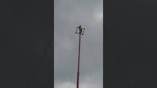 Voladores de Papantla en CDMX 05Septiembre2024 [upl. by Hound669]