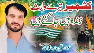 Kashmir Tere Waris Zinda hain  Pothwari Sher  Raja Abdul Hafeez Babar [upl. by Brodie]