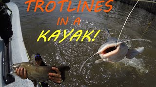 Running Trotlines From The Kayak [upl. by Ume]