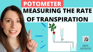 Potometer Experiment  Measuring the rate of transpiration Alevel Biology Experiment [upl. by Ellek]