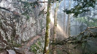 Unterwegs auf dem Felsenweg bei Oberried [upl. by Willey]