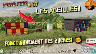 NEWS FS22 37 🍯 LES ABEILLES FONCTIONNEMENT DES RUCHES  🍯 FARMING SIMULATOR 22 PS5 🇫🇷 [upl. by Gothart]