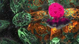 Simulated Interdimensional Travel Psychedelic Fractal Visuals 4K 60fps  Trip Simulation [upl. by Nolahs63]