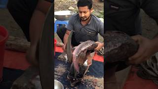 amazing Katol fish fishingvideo fishcuting fish fishcooking youtubeshorts fishing fishcutting [upl. by Pudendas]