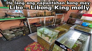 LiboLibong Hari ng molly project ni tatay merong apat na mata😱kahinayang ang video nato [upl. by Aretahs933]