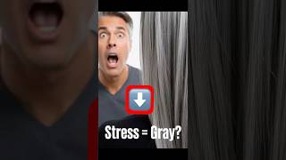 Does Stress Really Turn Your Hair Gray🌟🧬👩‍🦳 [upl. by Grant]