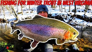 West Virginia Winter Trout Fishing [upl. by Atwahs]