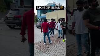 LION OF HISAR 🚘lionofhisar🦁teambablukhatana🕉bhaichara jayshreeramharyana [upl. by Nolrah71]