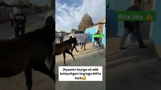 JIYANI UCHUN OT SOVGA QILDI😱 musicgenre funny [upl. by Aidnis394]