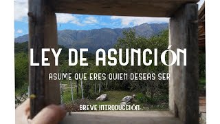 La ley de asunción [upl. by Nirok]