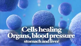 Cells healing  Organs kidneys blood pressure stomach and liver health [upl. by Anwadal]