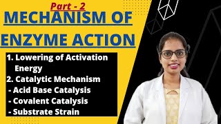 Mechanism of Enzyme Action  Enzymology  Biochemistry [upl. by Mays4]