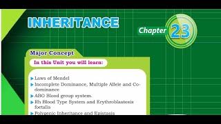 Inheritance part 1of 4 [upl. by Ssyla]