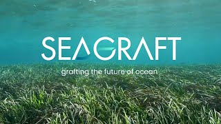 Seagraft  Terra Carta Design Lab finalist 2024  Royal College of Art [upl. by Araiek]