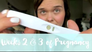 24 WEEKS PREGNANT EARLY SYMPTOMS  PREGNANCY UPDATE  Charlotte Taylor [upl. by Ikilisav]