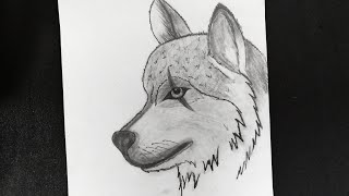 How to draw wolf face easy step by step for beginners  Wolf drawing tutorial [upl. by Alvinia]