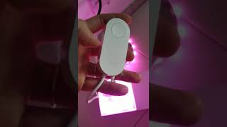 Fita De Led Wifi Rgb Yeelight  Xiaomi Shorts [upl. by Bruis]