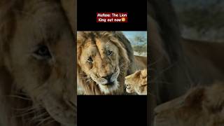 Mufusa Lion King 2 Magic of animals amp film animallover wildlife lion movie lionking mufasa 🦁 [upl. by Eux982]