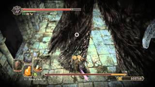 Dark Souls 2 Giant Lord farming with Dark Pursuer Ultra Great Sword 500k souls per 2 mins [upl. by Yarw697]