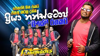 Priya Nonstop ප්‍රියා නන්ස්ටොප්  Ahungalla Flamingose [upl. by Nitsuga]