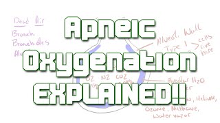 Apneic Passive Oxygenation Explained  Something In About 5 Minutes  Medic Materials [upl. by Hatti333]