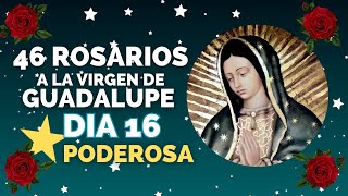 DIA 16⭐ PODEROSA 46 🌹 ROSARIOS A LA VIRGEN DE GUADALUPE [upl. by Bowman469]