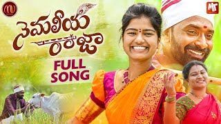 NEMALEEYA RAJA NEW FOLK SONG 2022 MAMIDIMOUNIKA SVMALLIKTEJA MVMUSIC [upl. by Llenhoj]