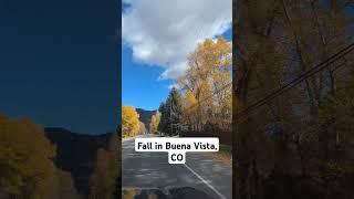 Fall in Buena Vista Colorado [upl. by Dhumma]