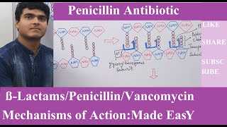 BetaLactams Mechanisms of Action  Cell Wall Synthesis InhibitorPenicillin MechanismPART1 [upl. by Lramaj128]