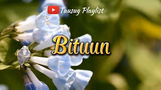 Bituun  Tausug Song Karaoke HD [upl. by Adnohsor]